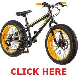 Fat Tire Bicycle